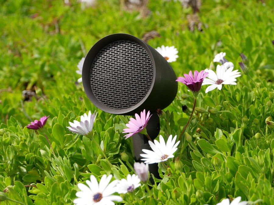 What Goes into the Ultimate Outdoor Speaker System?